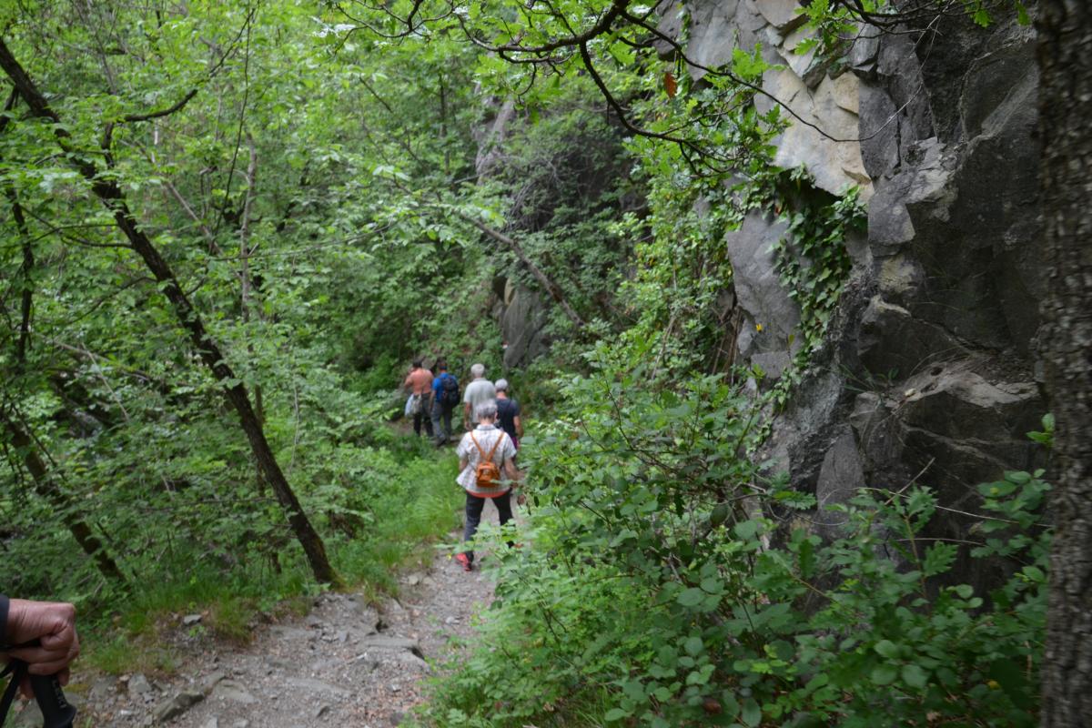 Rielingerhof 06.06.2019